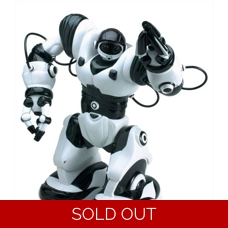 Robot - Ronnie